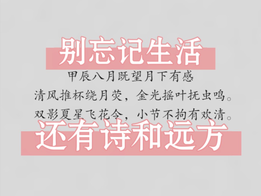 【原创诗词】《甲辰八月既望月下有感》别忘记生活,还有诗和远方哔哩哔哩bilibili