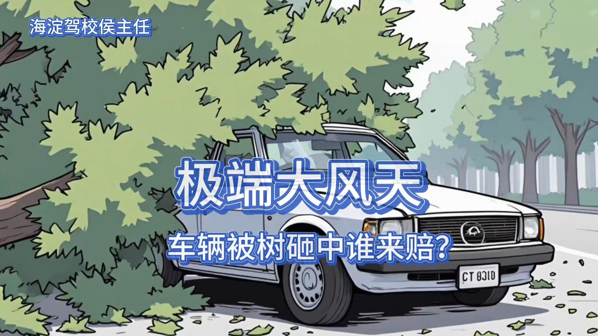 侯主任唠车：极端大风天车辆被树砸中谁来赔？