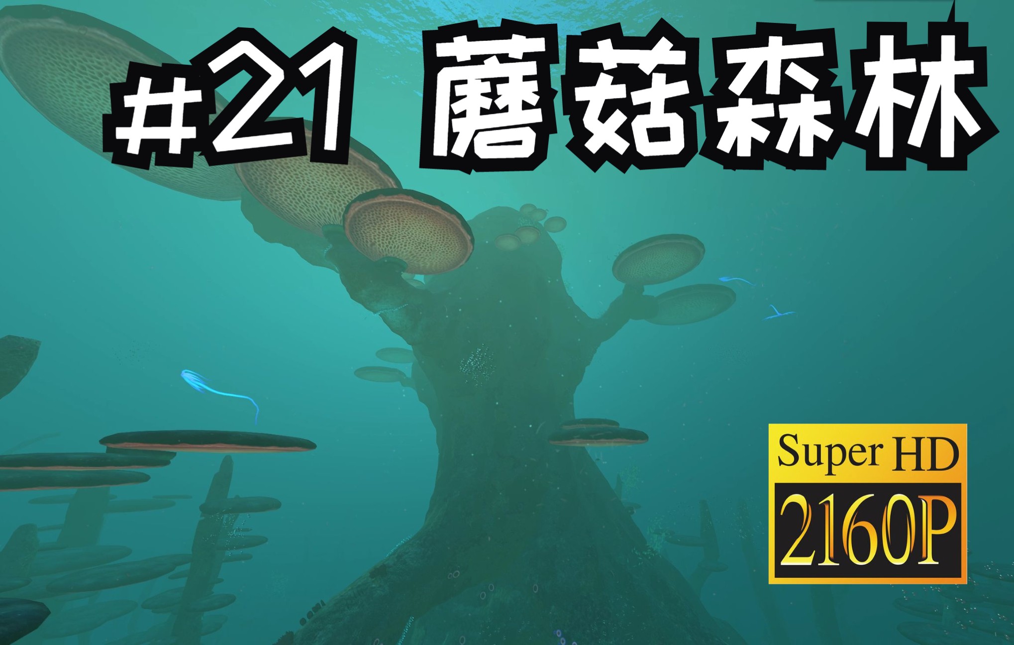 深海迷航助眠 2k画质60fps 蘑菇森林 【危险等级:安全】_哔哩哔哩