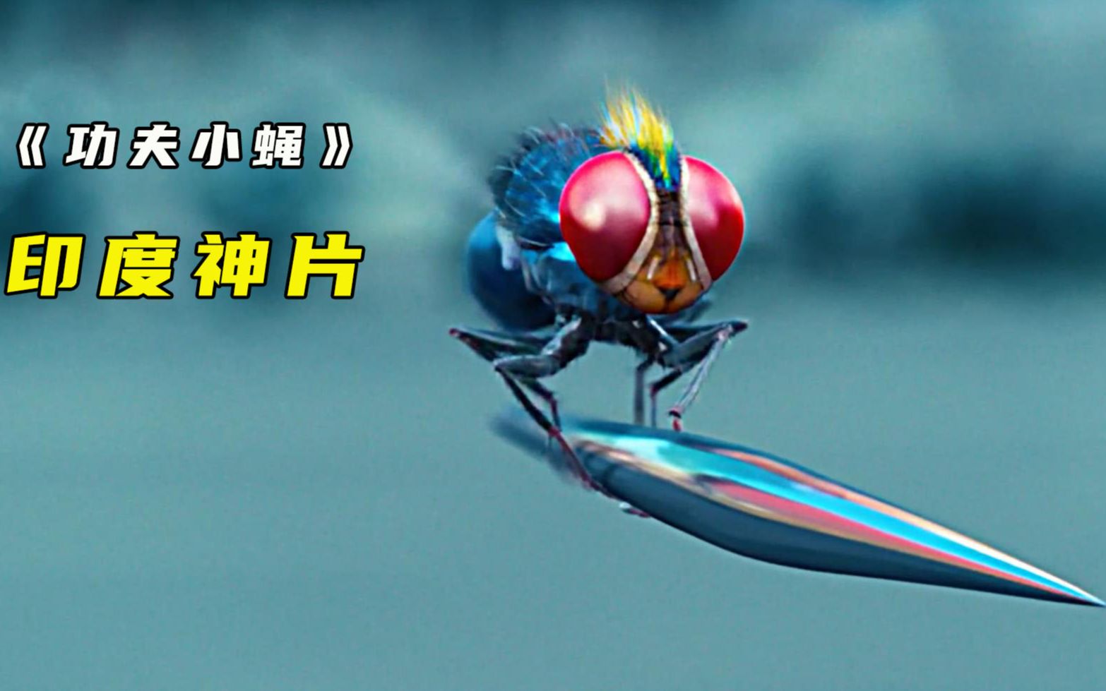 一只有人类智慧的苍蝇功夫小蝇
