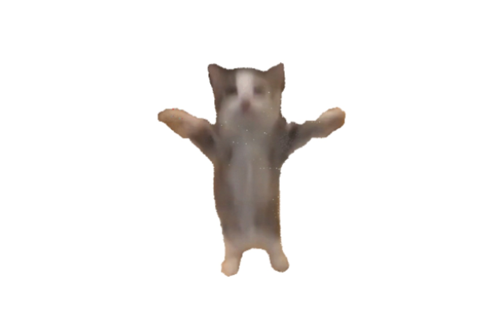 三连happy猫五一假期延迟开学十天!!-催逝员-穿山甲老冯-默认收藏夹-