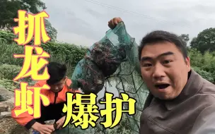 Video herunterladen: 下三个网在废弃鱼塘抓龙虾，结果直接爆护，这龙虾也太多了吧！