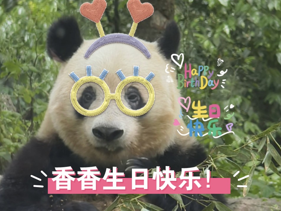 大熊猫香香:优雅的香香生日快乐!永远开心快乐健康!哔哩哔哩bilibili