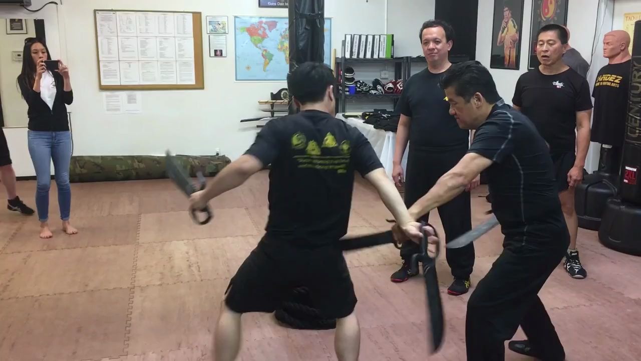 咏春拳八斩刀对练演示
