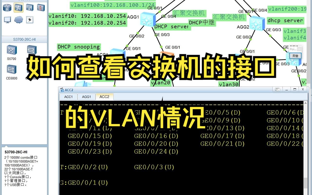 如何查看交换机的接口的VLAN情况哔哩哔哩bilibili