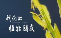 投稿封面