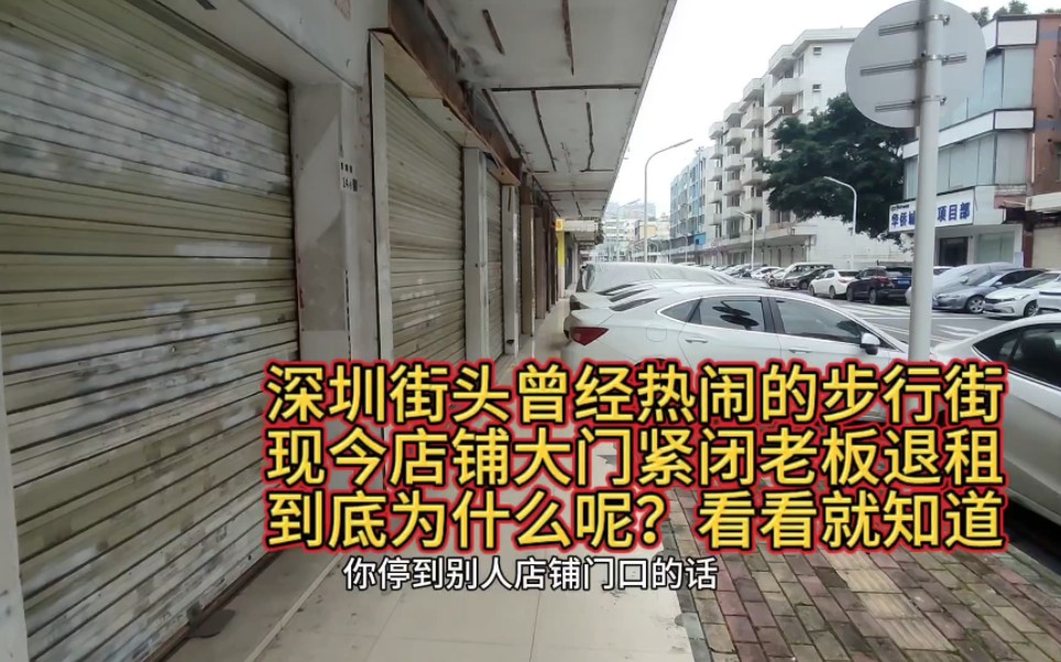 这几年深圳变化太大了,要不是亲眼所见真的不敢相信这是真的哔哩哔哩bilibili