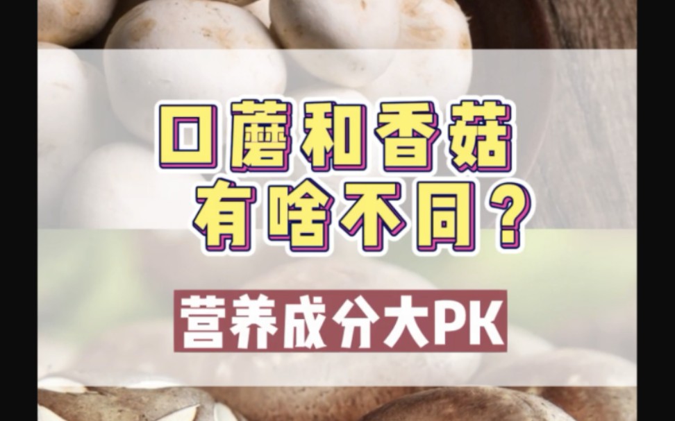 【营养大PK】口蘑VS香菇!!不知道口蘑,可人家的营养价值高着呢!哔哩哔哩bilibili