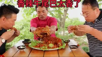 Video herunterladen: 食叔做香辣牛尾巴，太香了滋滋冒油麻辣鲜香，叫来老哥们大口吃肉过瘾