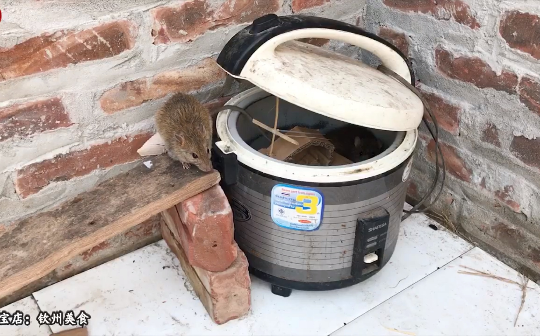 我爱发明捕鼠器