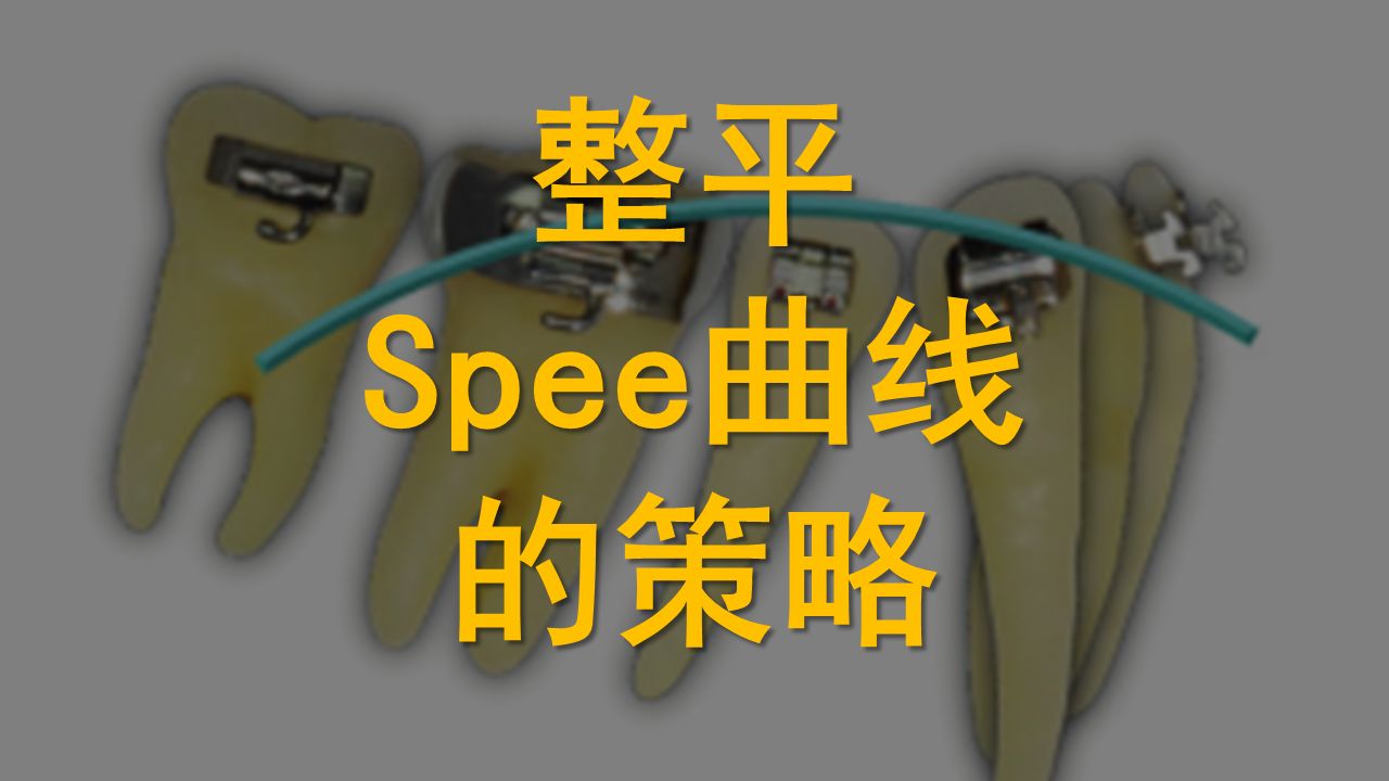 整平spee曲线的策略哔哩哔哩bilibili