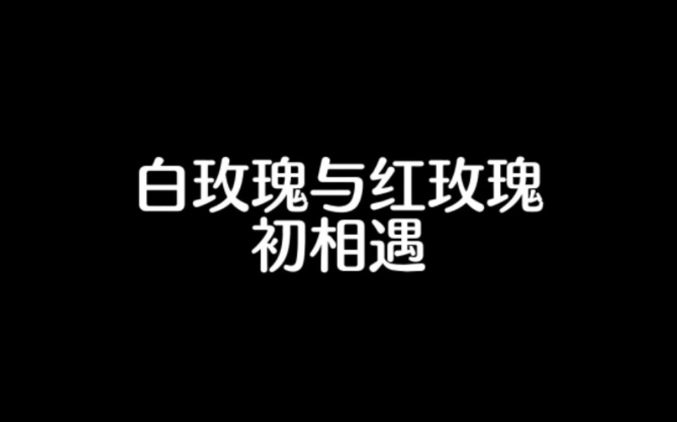 无论是红玫瑰还是白玫瑰,都是肖春生最真实的心动,都是肖春生闪光的青春.哔哩哔哩bilibili