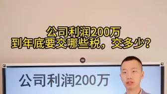 公司利润200万，到年底要交哪些税，交多少？