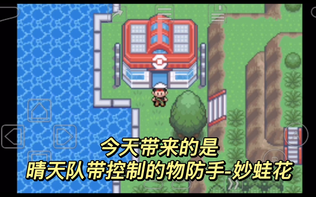 口袋妖怪究极绿宝石晴天队带控制的物防手妙蛙花
