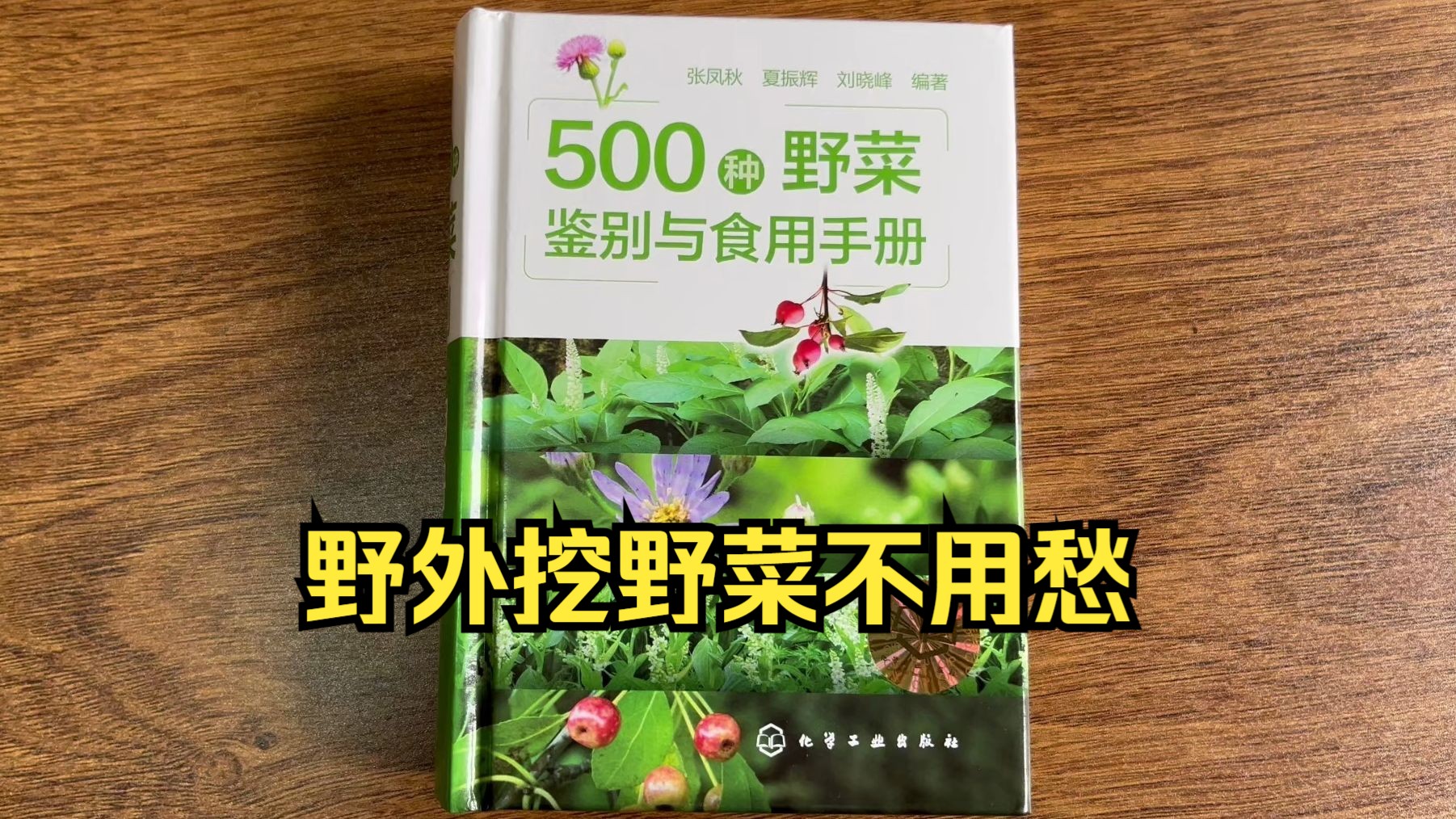 野外挖野菜不再愁,500种野菜鉴别与食用手册哔哩哔哩bilibili