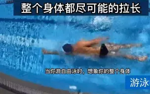 Descargar video: 下次去游自由泳时，想一想这几个技巧！