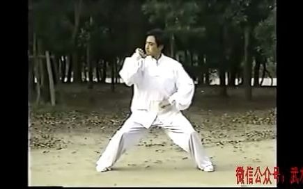 日本人拍摄的吴氏开门八极拳入门教学,非常详细,八极拳爱好者必看!哔哩哔哩bilibili