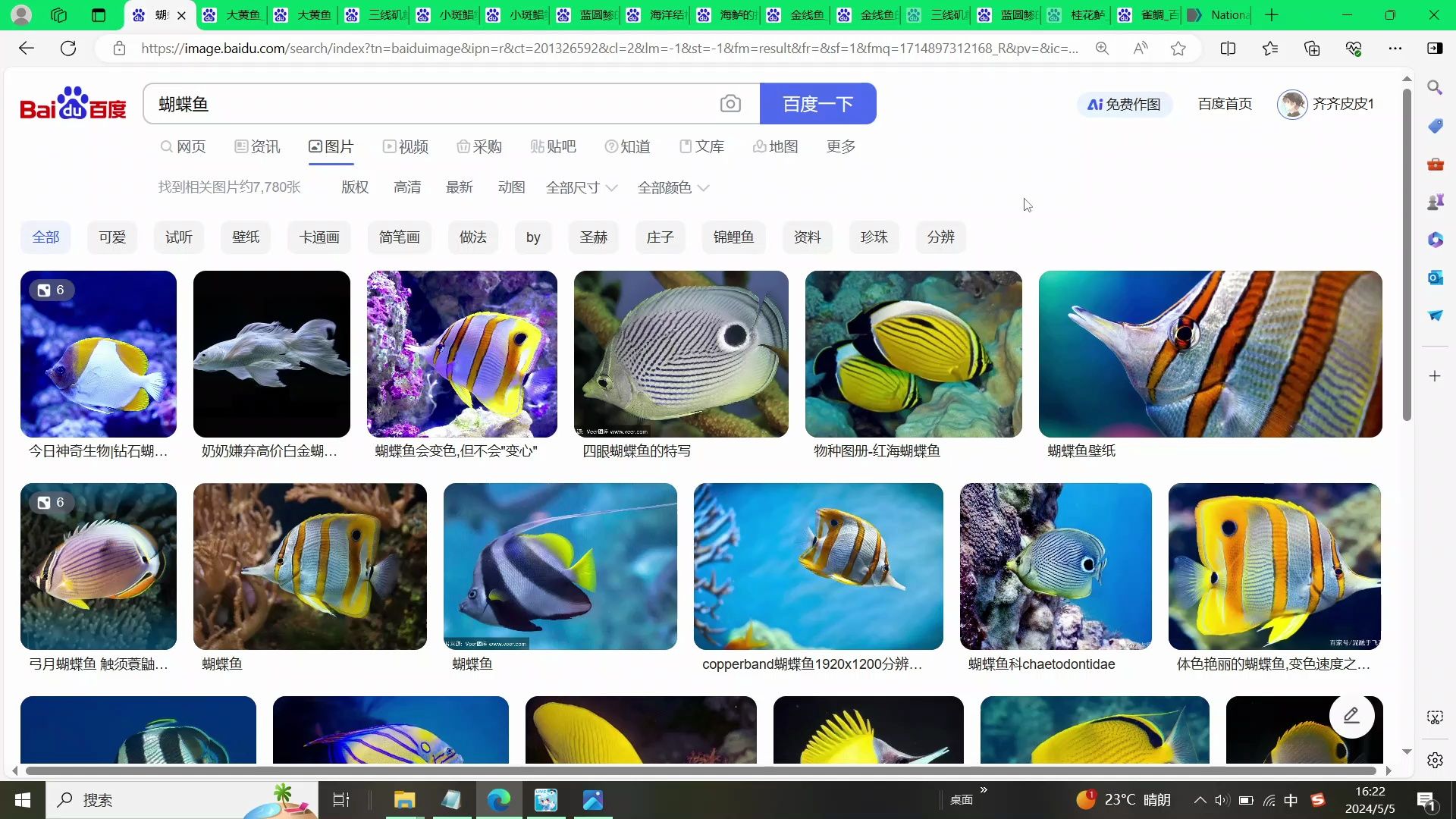 【普通生物学讨论】2.3.1 辐鳍鱼鲈形目哔哩哔哩bilibili