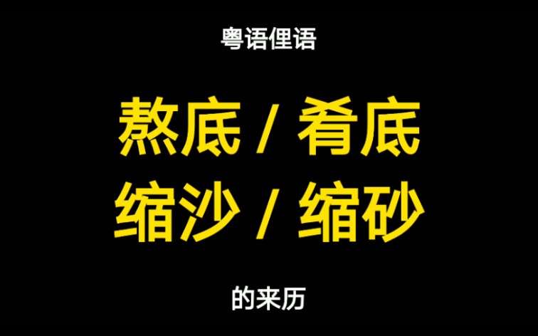 粤语“缩沙”与“熬底”的来历,身为广府人的你知道吗?哔哩哔哩bilibili