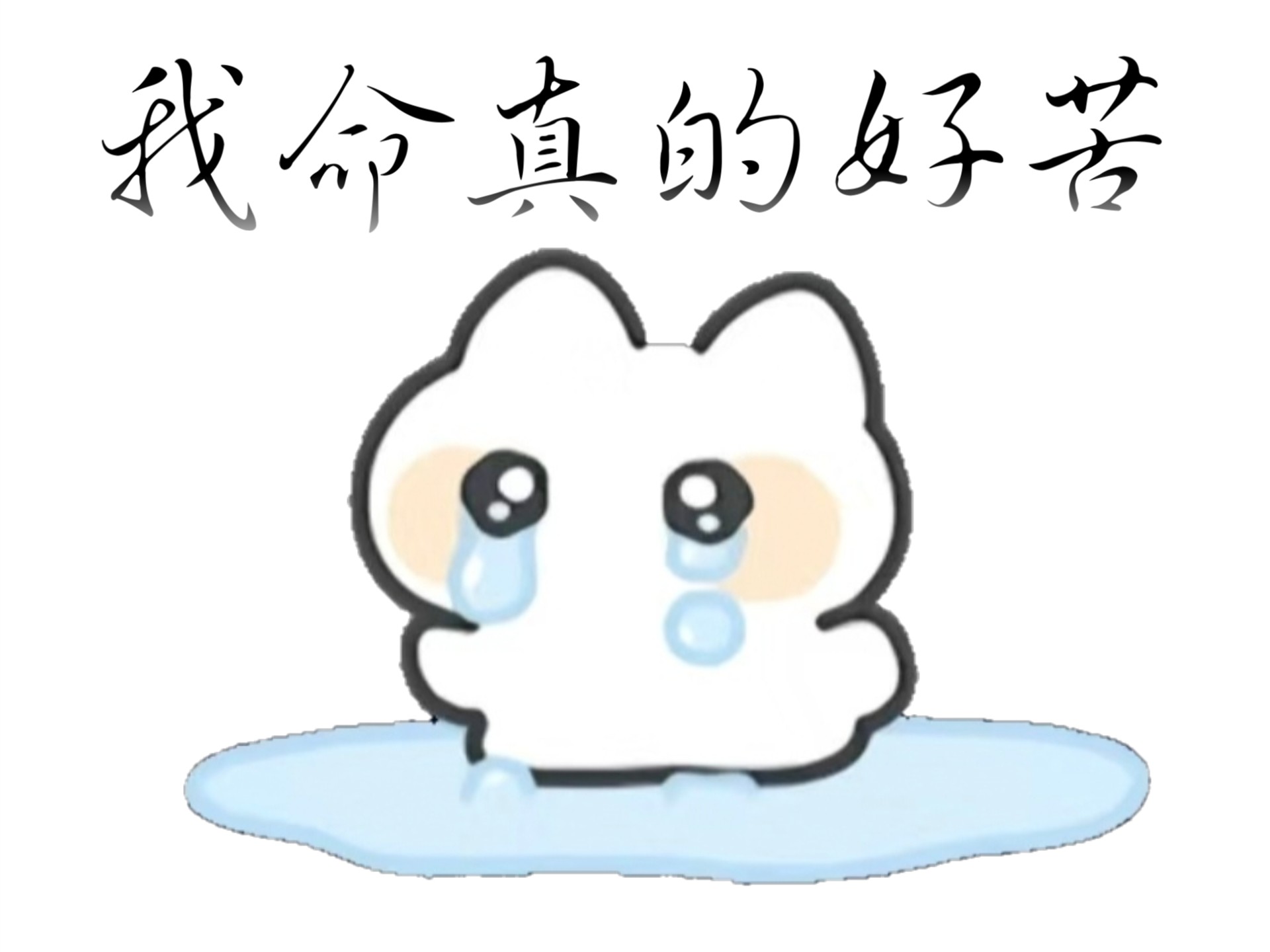 呜呜呜感觉自己命好苦