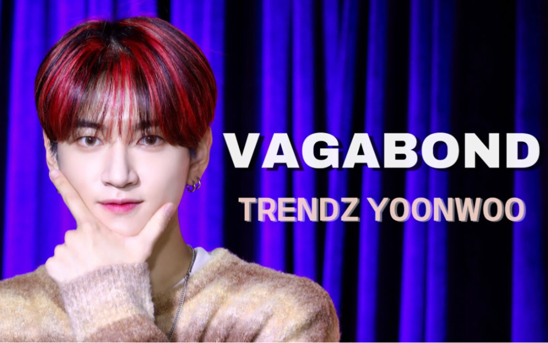 TRENDZ李忠贤YOONWOO《VAGABOND》221127 饭拍横版直拍哔哩哔哩bilibili