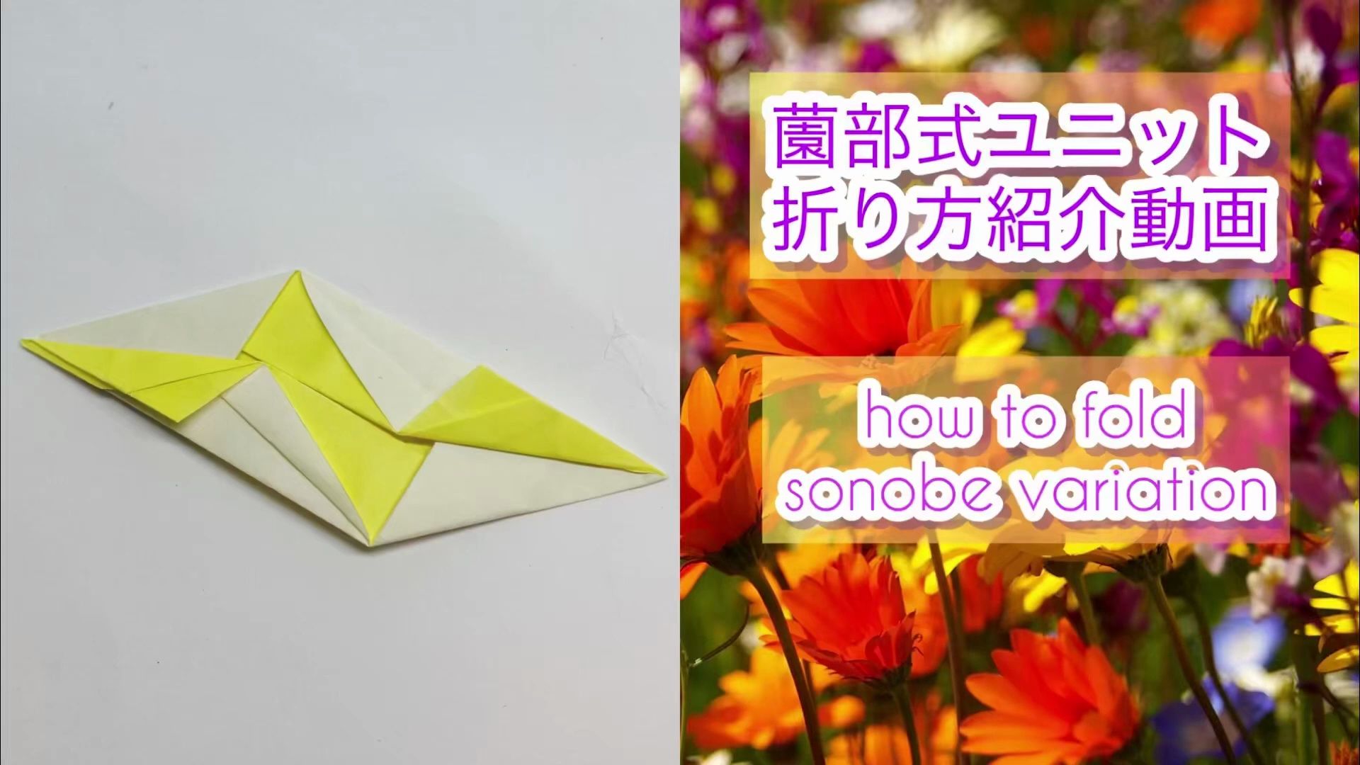 【f_yoshi_fold origami】薗部式折纸花球组件折纸