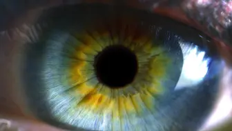 QLED 8K_真正的8K无限体验|三星