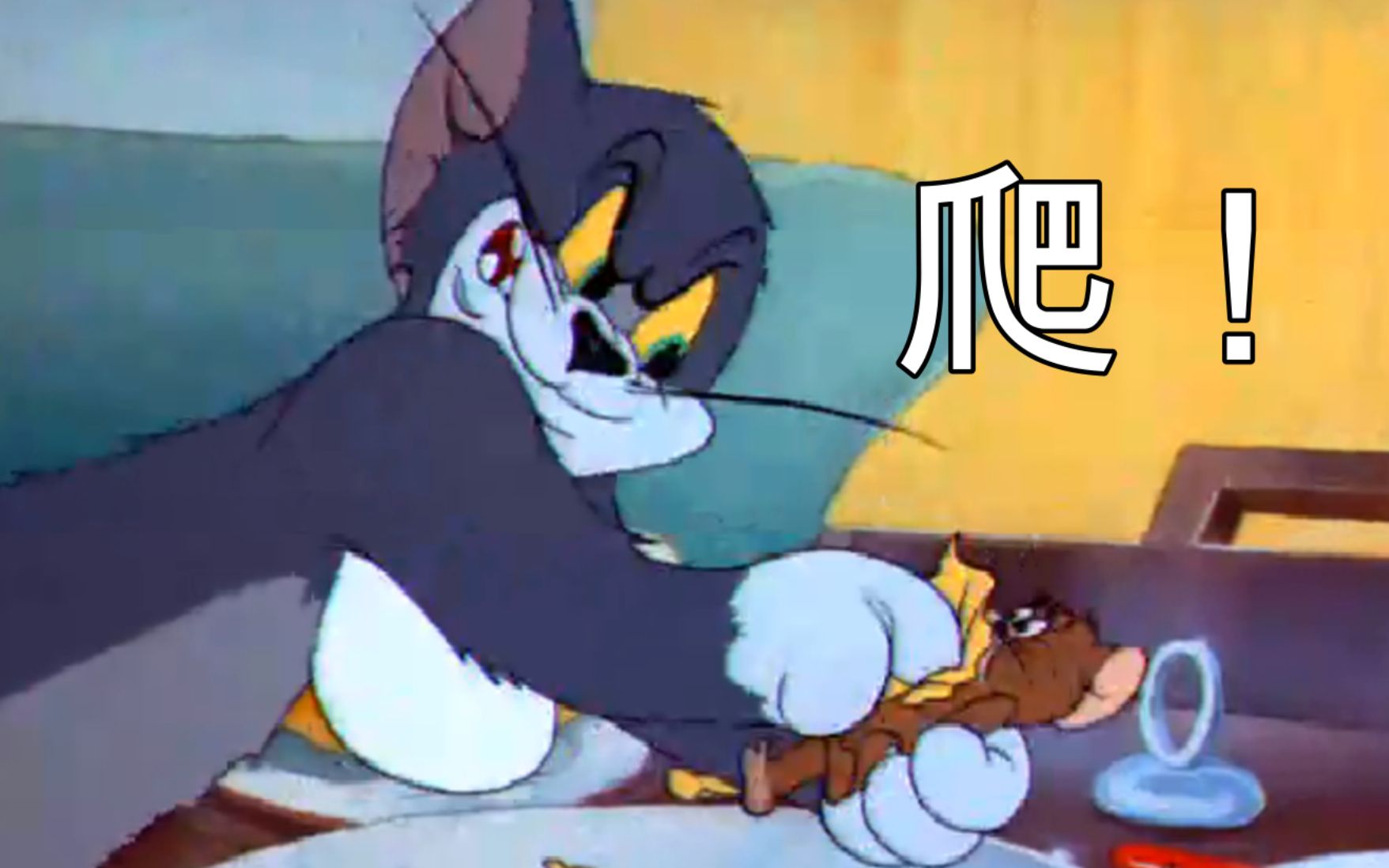 杰瑞:鼠年给我个面子 汤姆:给爷爬!