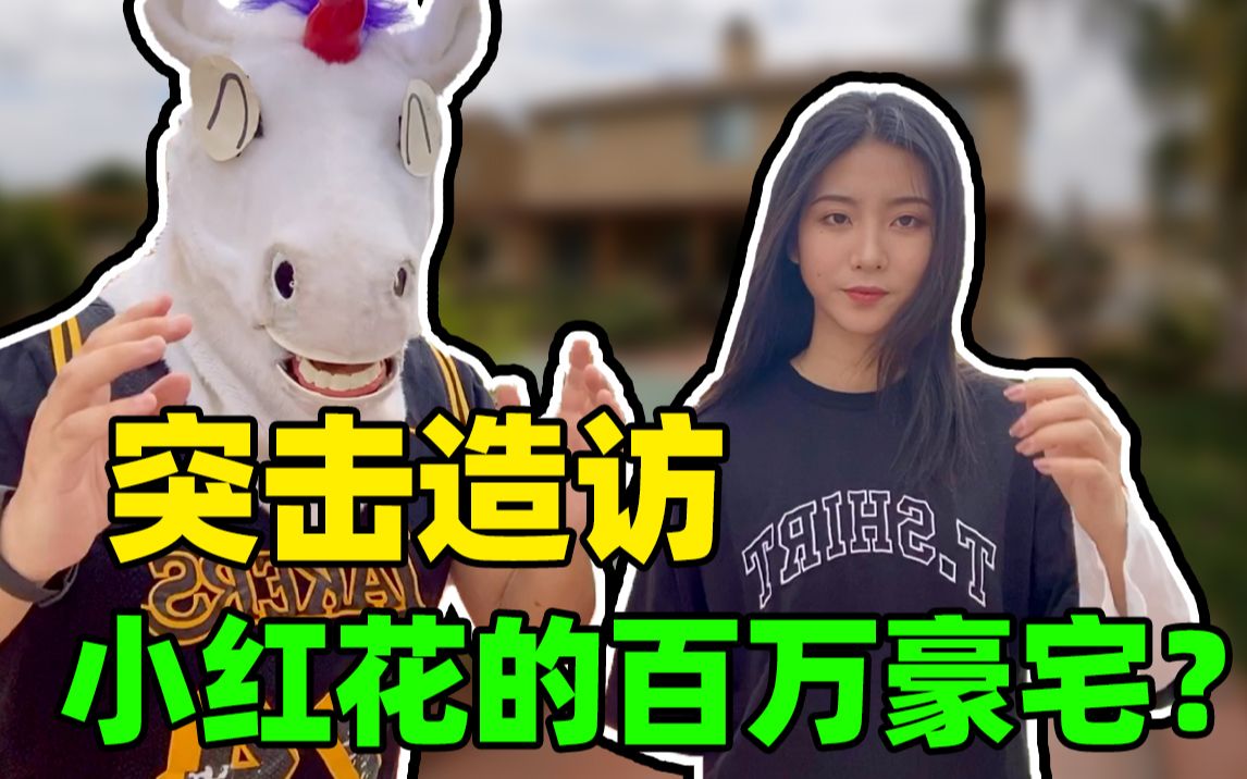 《300万粉丝特辑》我的助理小红花,住的是百万豪宅……还有3大狠人,2大刁民哔哩哔哩bilibili