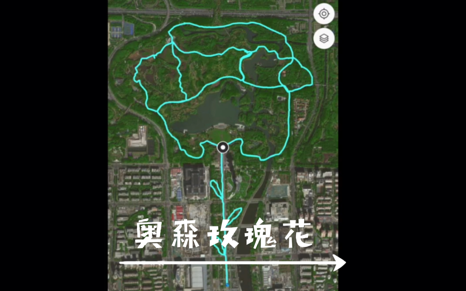 奥森玫瑰花之行,历时2个半小时用双脚走出一朵花