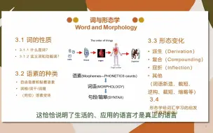 Download Video: 【译言意辰】3.1.1 什么是词（形态学）字幕版