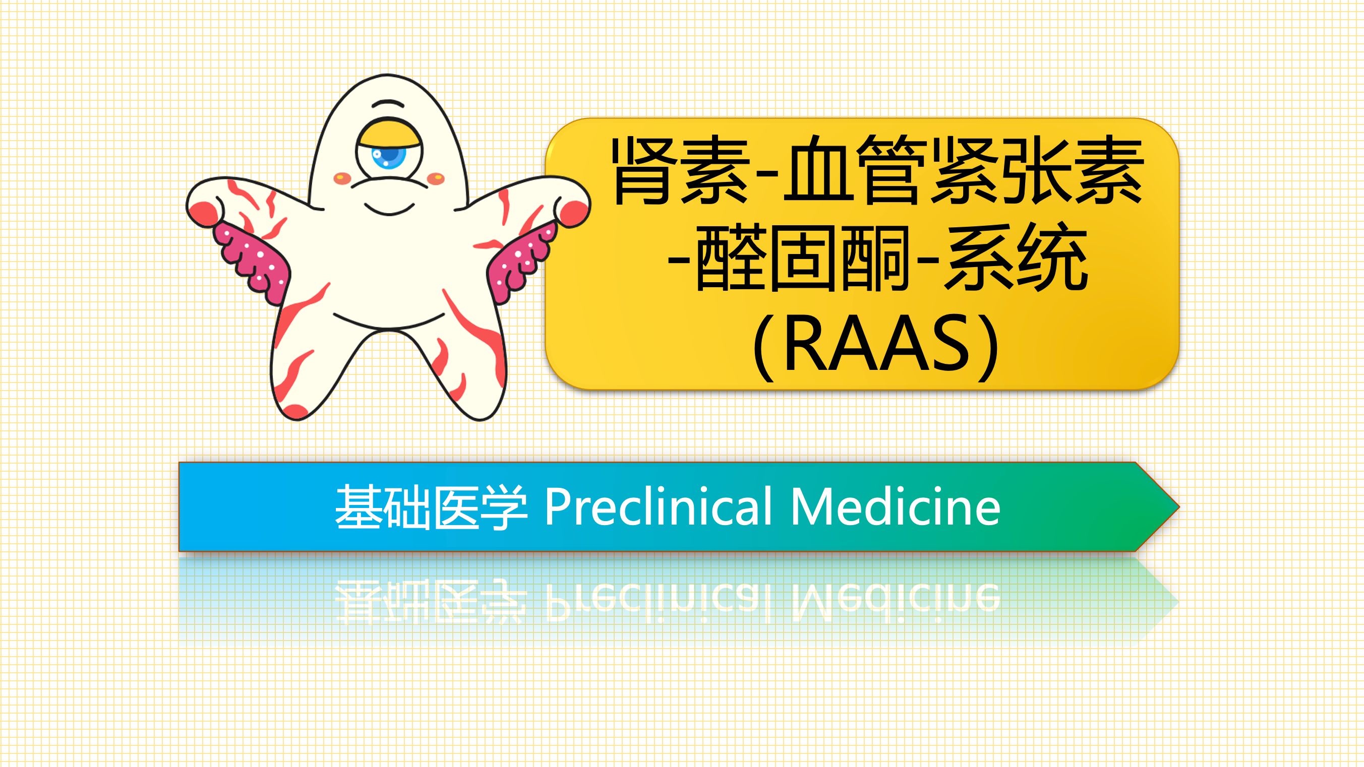 肾素血管紧张素醛固酮系统(RAAS)【医学生必学系列】哔哩哔哩bilibili