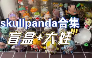 Video herunterladen: 【skullpanda合集】我的sp一二三四五代盲盒+入娃坑历程心得体会