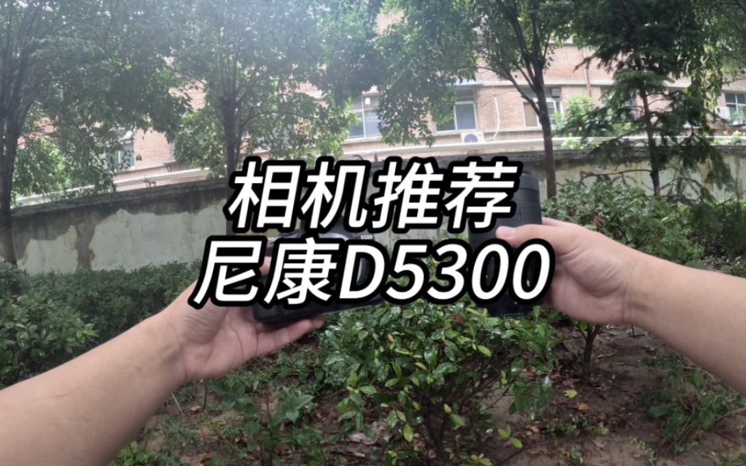 尼康D5300性价比很高的一台相机,拥有2400百万像素,屏幕支持翻转,1080p视频录制,这些参数同样价位下是某些厂商给不了的.哔哩哔哩bilibili