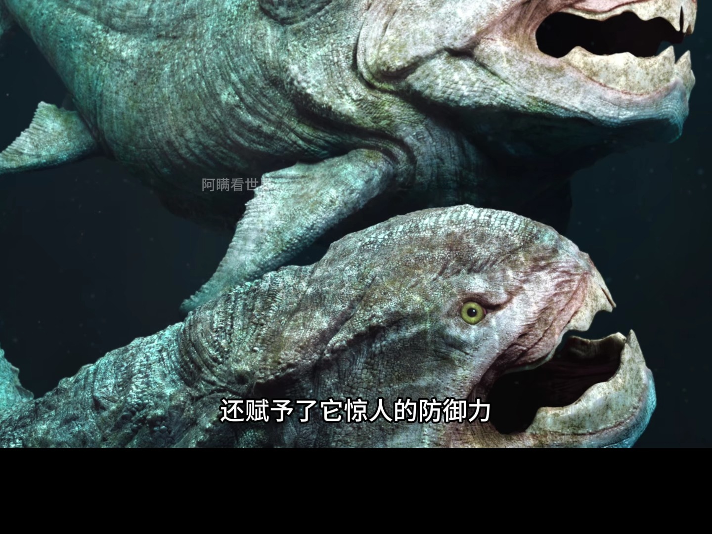 泥盆纪时期的海洋霸主