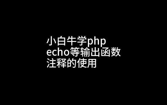 001.echo等输出函数及注释的使用哔哩哔哩bilibili