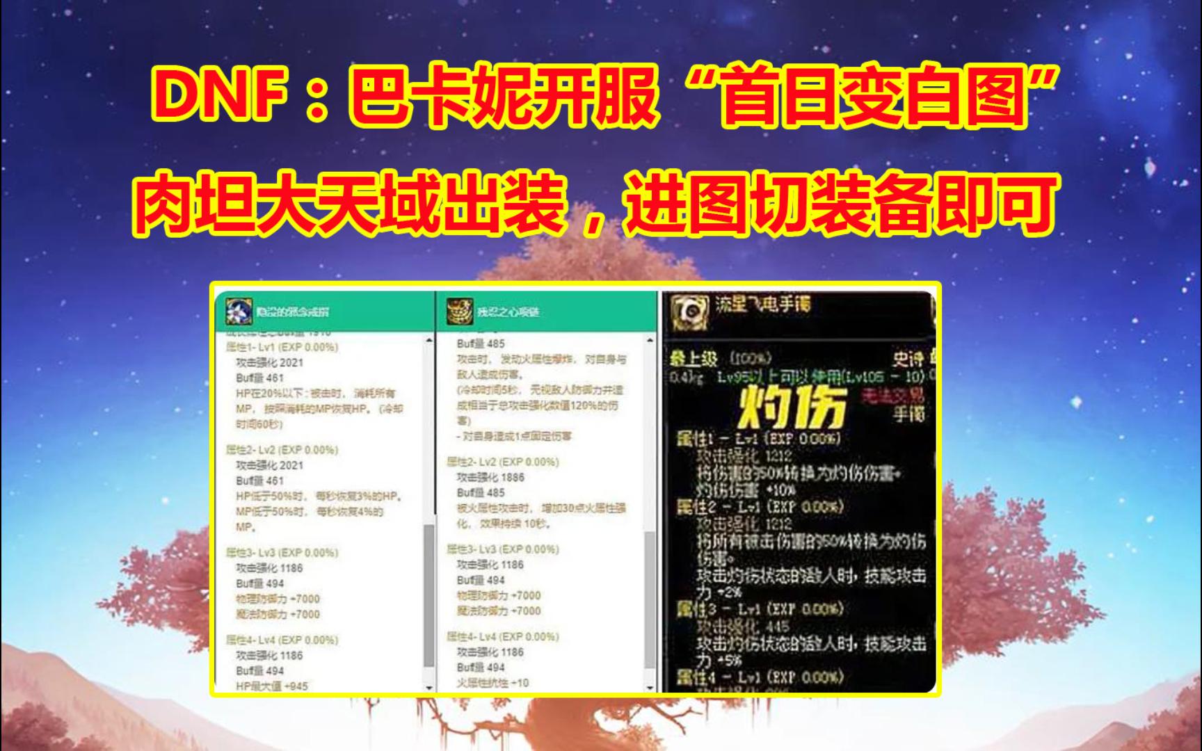 DNF:巴卡妮开服“首日变白图”!肉坦大天域出装,进图切装备即可网络游戏热门视频