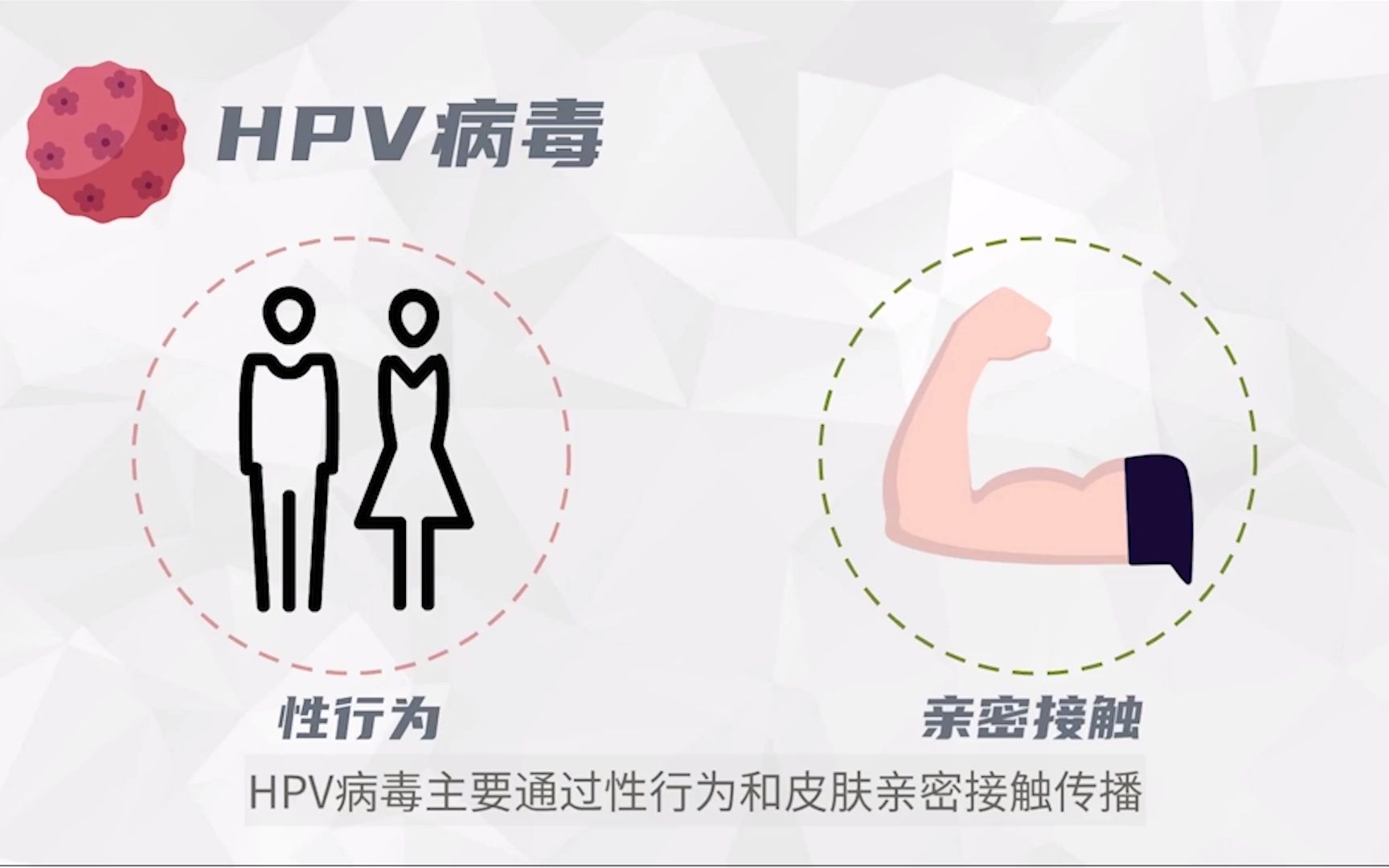 关于HPV,你了解多少哔哩哔哩bilibili