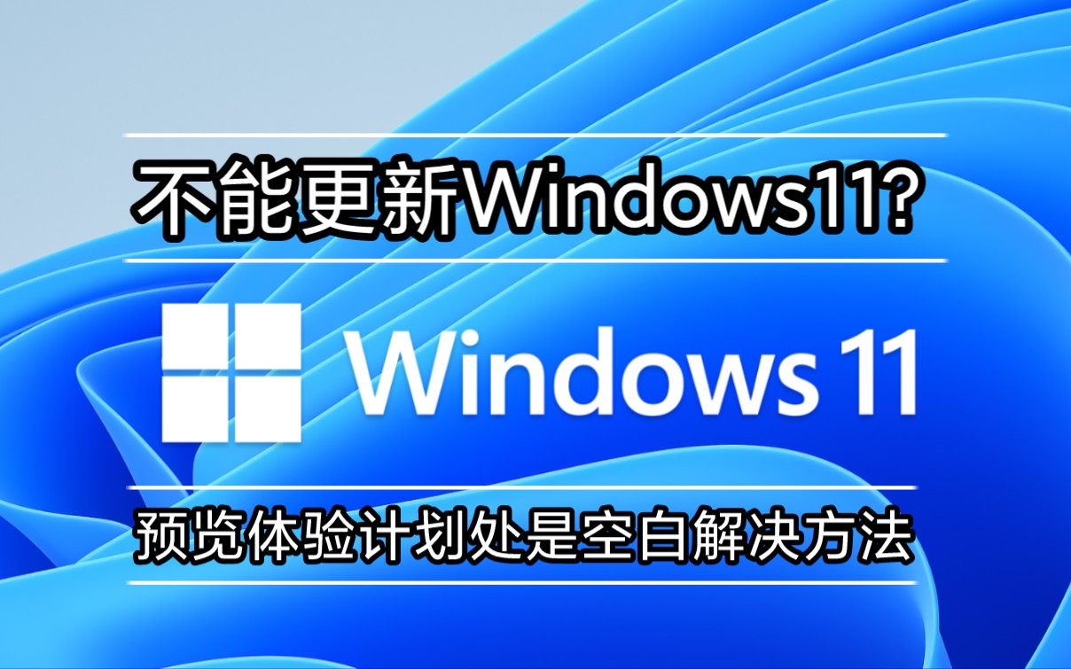 Windows预览体验计划空白、不显示内容怎么办?哔哩哔哩bilibili