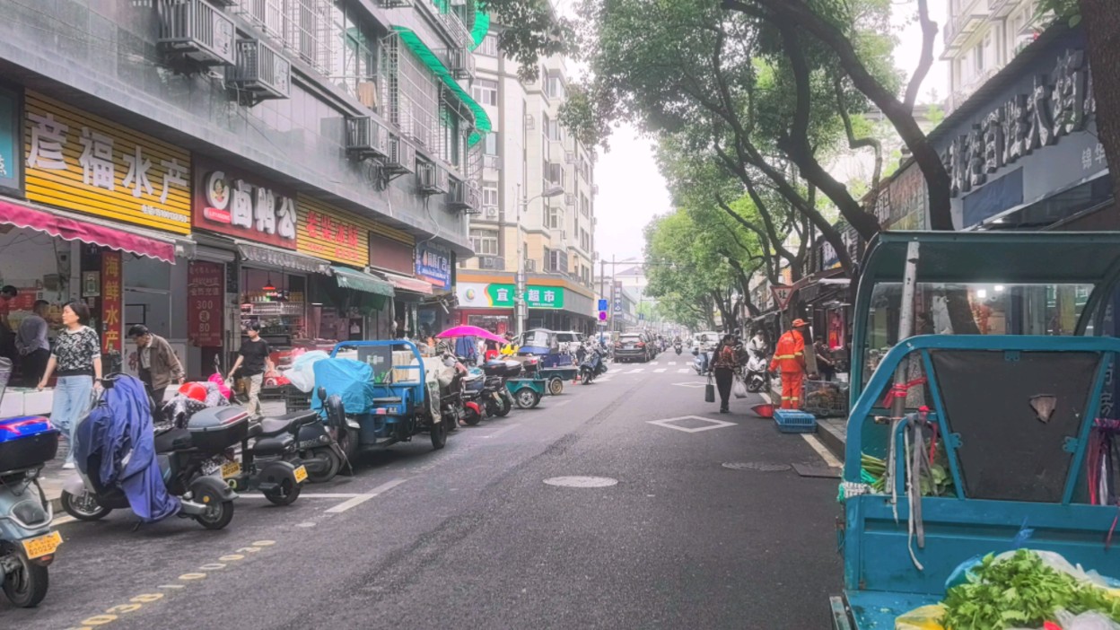 探访临安六园街,体验不一样的"清晨乐章"!