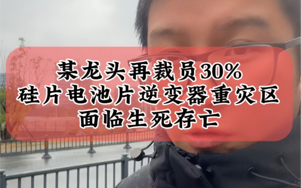 2.21某光伏龙头企业再裁员30%,硅片、电池片和逆变器企业是寒冬裁员重灾区,面临生死考验#光伏 #财经 #储能哔哩哔哩bilibili