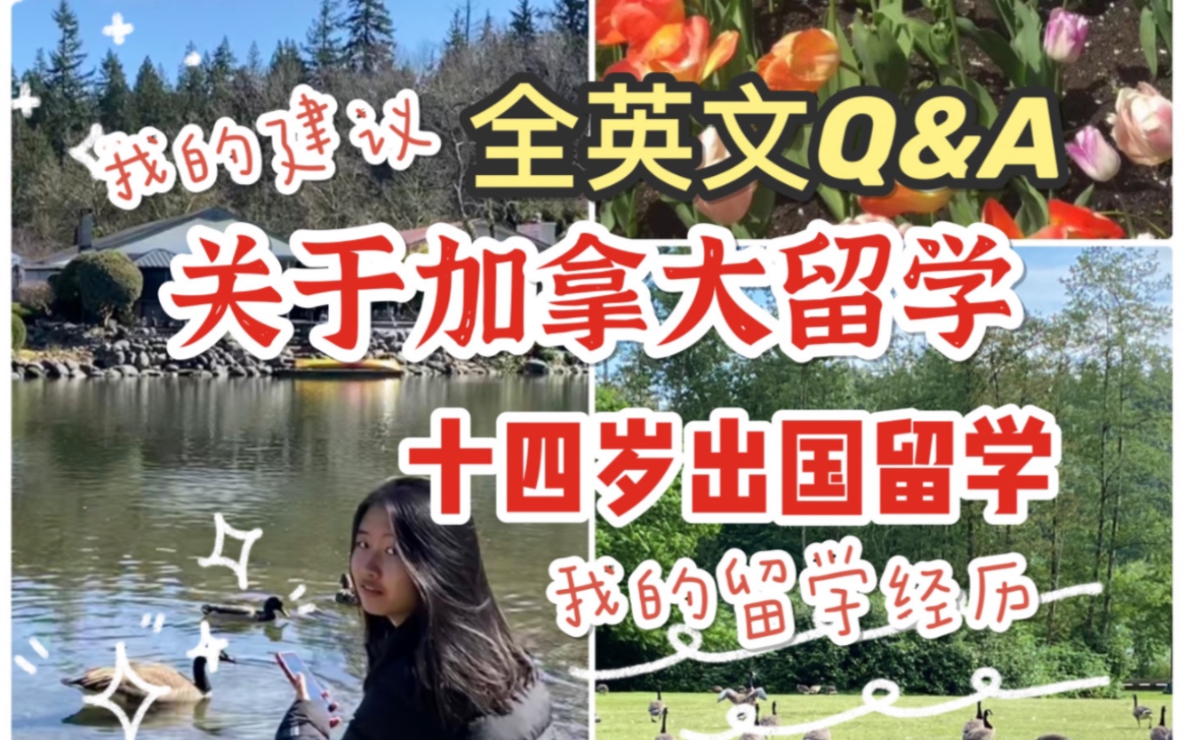 全英文Q&A|关于加拿大留学和我的留学经验哔哩哔哩bilibili