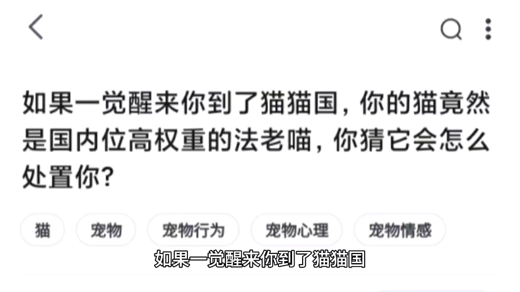 如果一觉醒来你到了猫猫国,你的猫竟然是国内位高权重的法老喵,你猜它会怎么处置你?哔哩哔哩bilibili