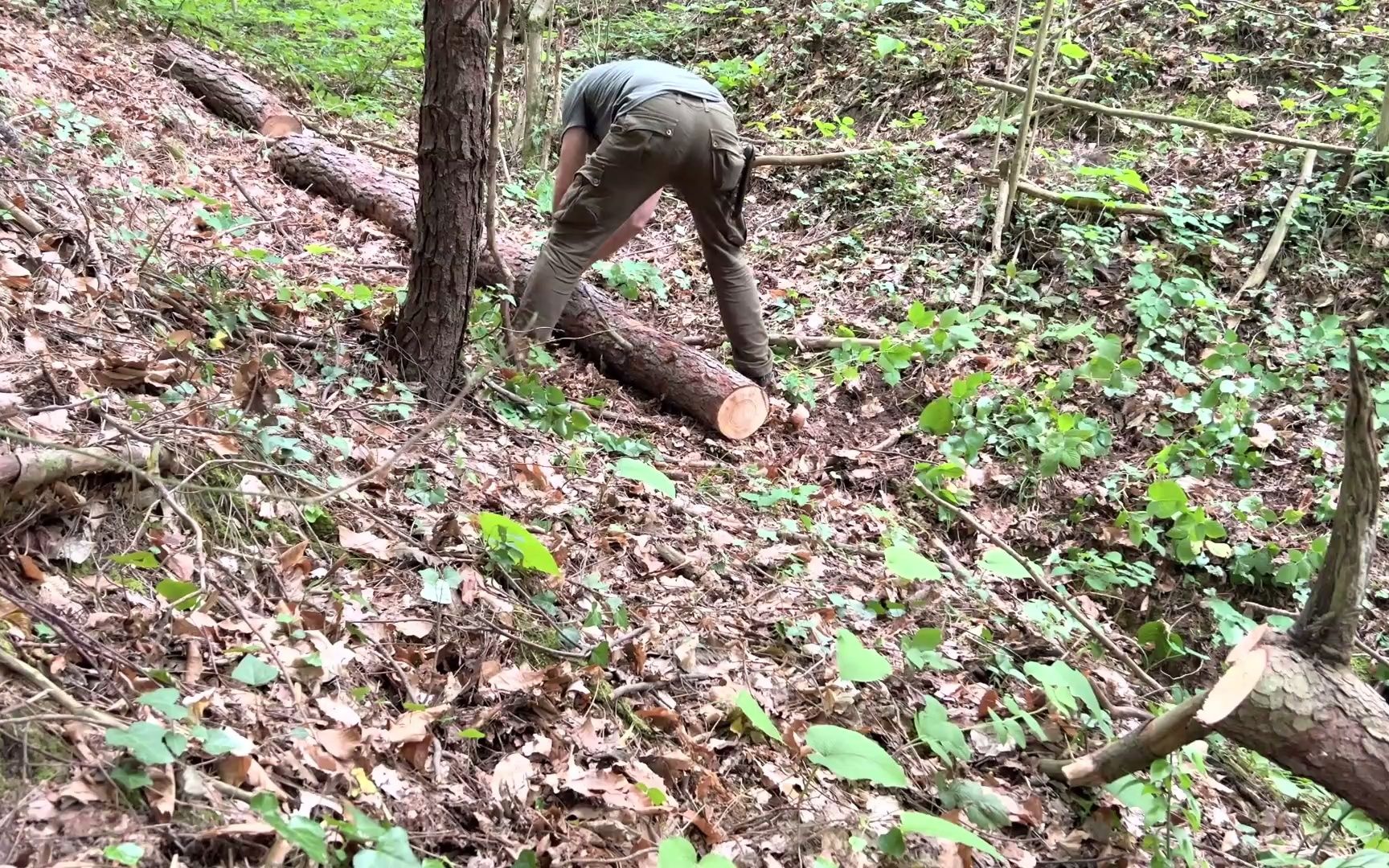 [图]在丛林中建造地下房屋