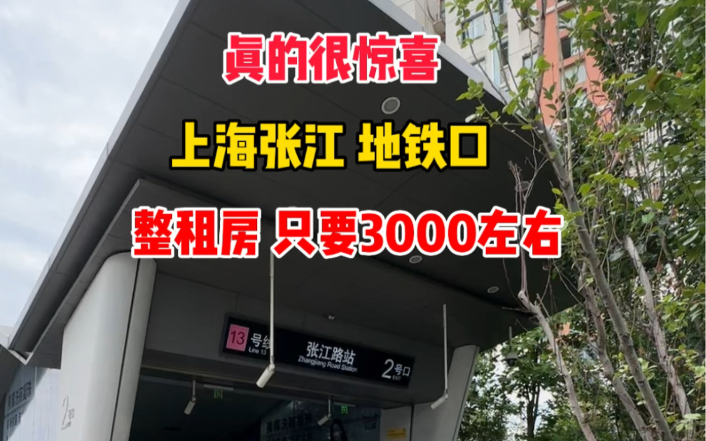 上海张江租房|川杨新苑地铁口旁 整租独门独户一居室3000左右,你敢相信吗?哔哩哔哩bilibili