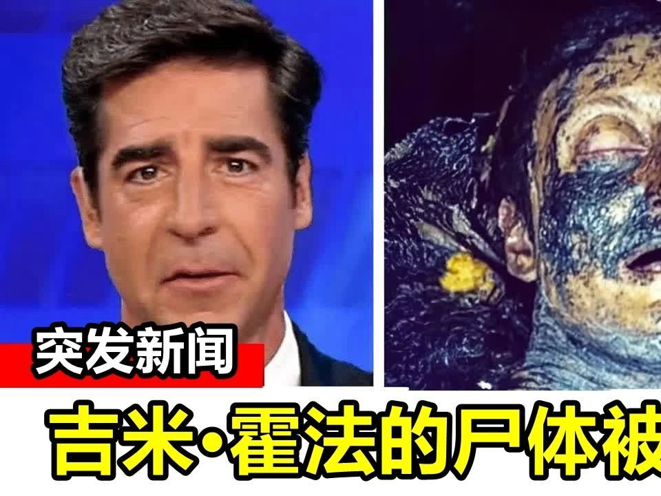 科学家终于找到了失踪几十年的吉米霍法的尸体!这是真的吗?哔哩哔哩bilibili