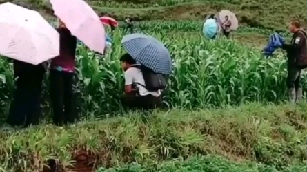 贵州大山深处出现奇怪叫声,无论刮风下雨都有很多人不远千里来听,到底是什么叫声?哔哩哔哩bilibili