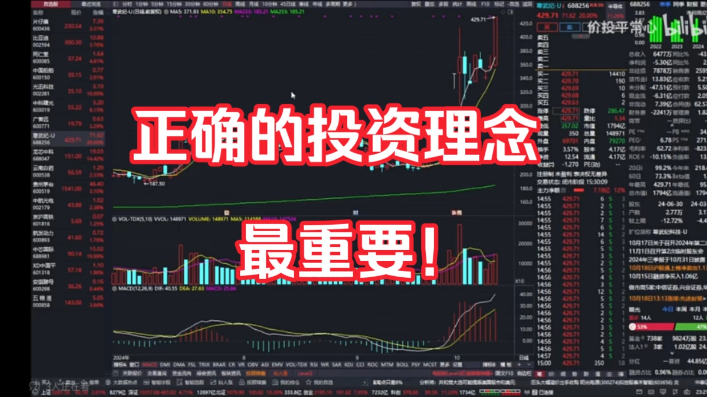 不管新手老手树立正确的投资理念才是最重要的哔哩哔哩bilibili