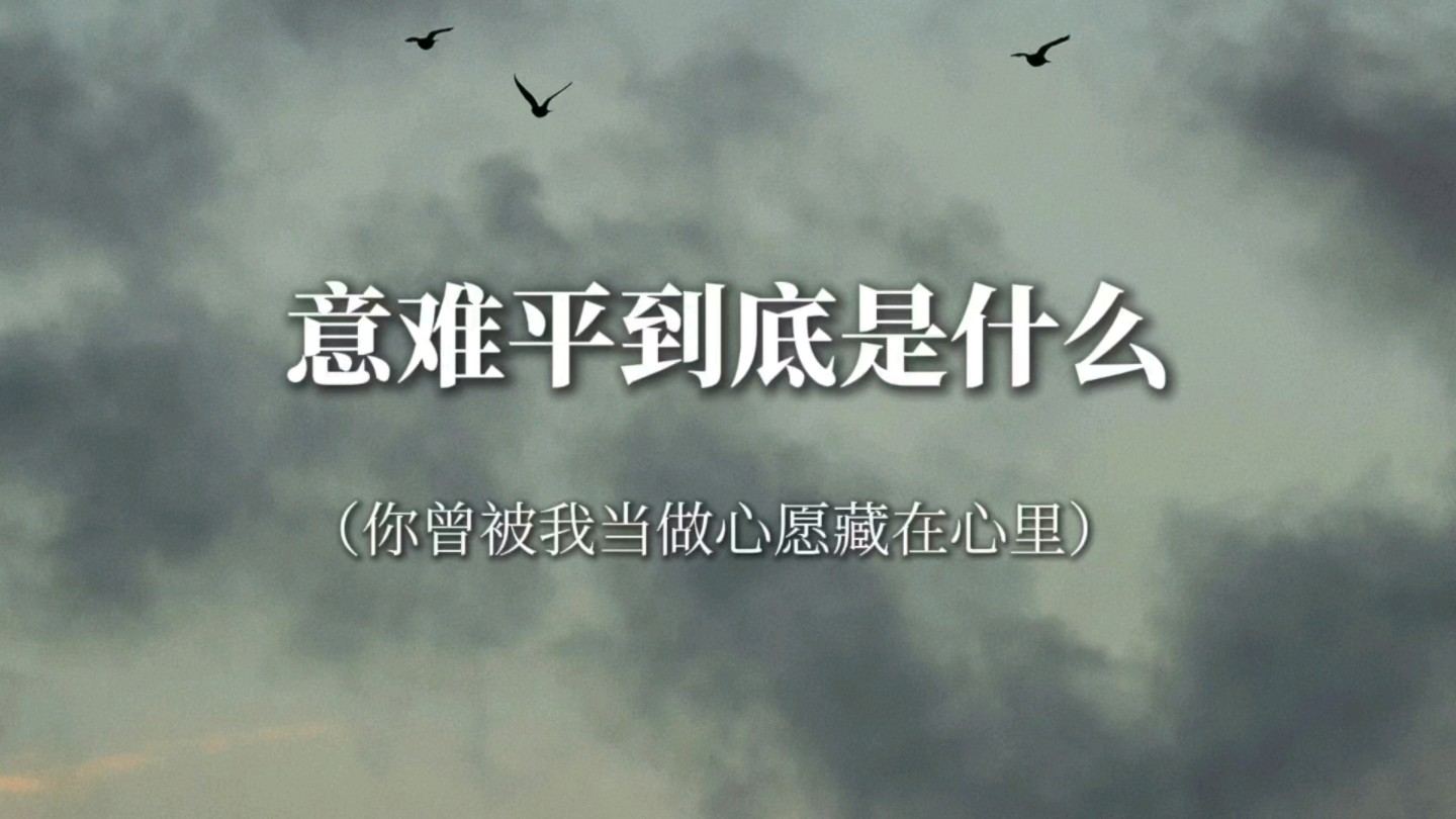 “人生就是靠着不断的遗忘,才比较容易活得下去”‖意难平到底是什么哔哩哔哩bilibili