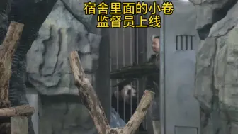 Download Video: 【大熊猫圆梦】奶爸打扫卫生，小卷在宿舍一直盯着看！妥妥的爸宝熊！